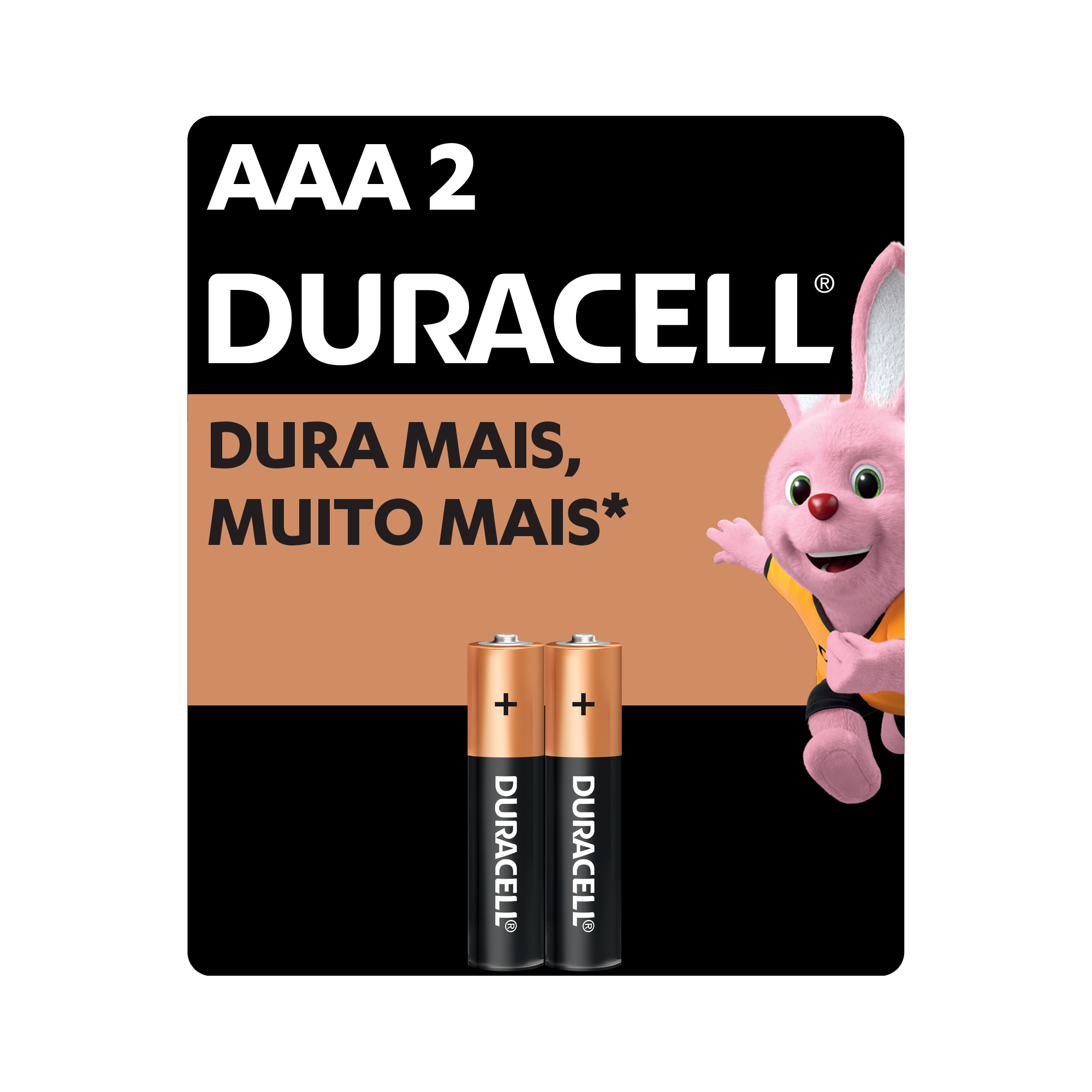 Pilha Alcalina AAA Duralock Duracell 2 Unidades