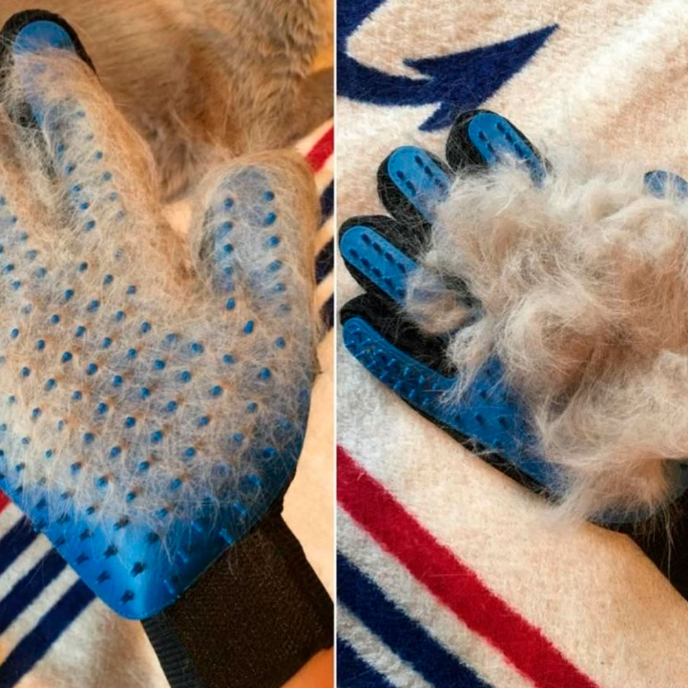 Luva Tira Pelos Para Cães e Gatos Chalesco