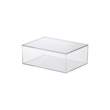 Caixa Organizadora com Tampa Transparente 22,5x16,5x8,5cm Paramount