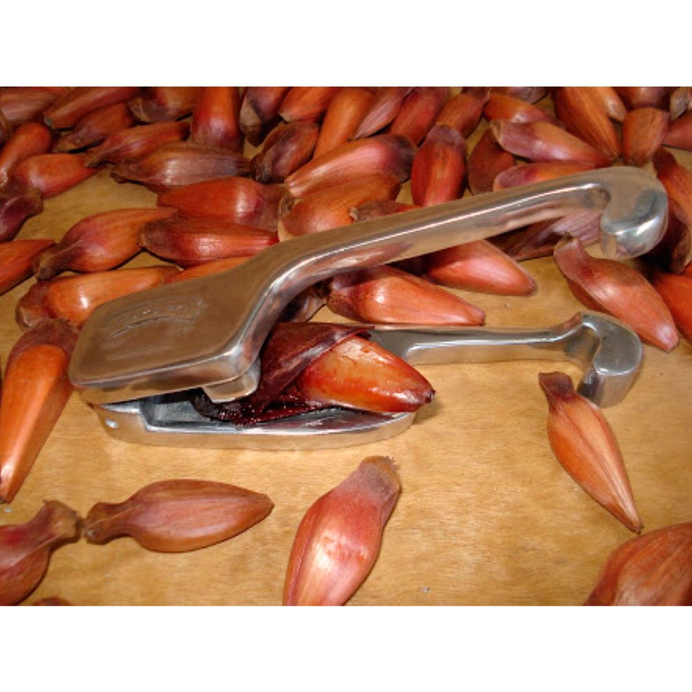 http://b2b.multicoisas.com.br/media/catalog/products/p/v/ image number 1