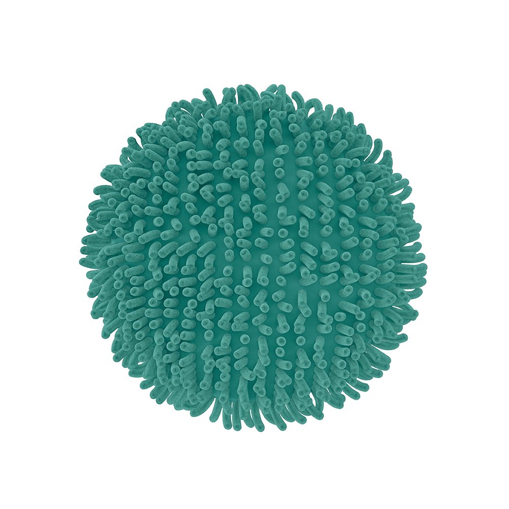 http://b2b.multicoisas.com.br/media/catalog/products/p/v/ image number 2